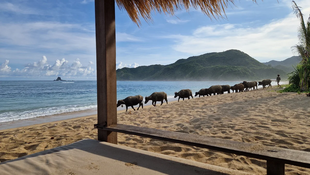 Belasting betalen over vastgoed in Indonesië als Nederlander